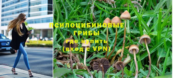прущая мука Магадан