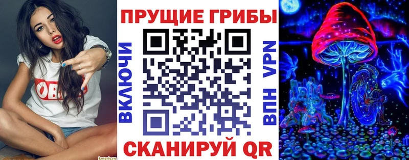 Псилоцибиновые грибы мухоморы  цены   Сольцы 